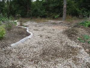 My gravel path where I want self-seeders to grow.
