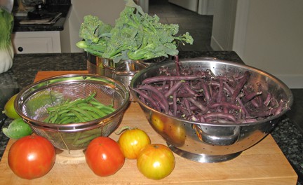 I am thankful that our first-year garden produced so well this season.