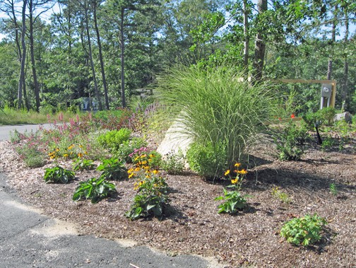 Next to the road is the dry garden, and there is more mulch showing than I\'d really like to see. \"Patience!\" I tell myself - the plants will fill in.