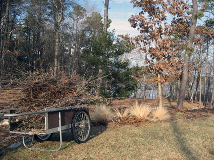 The cart is filled with the plants I\'ve cleared, but some, such as the Mexican feather grass, are left in the garden.