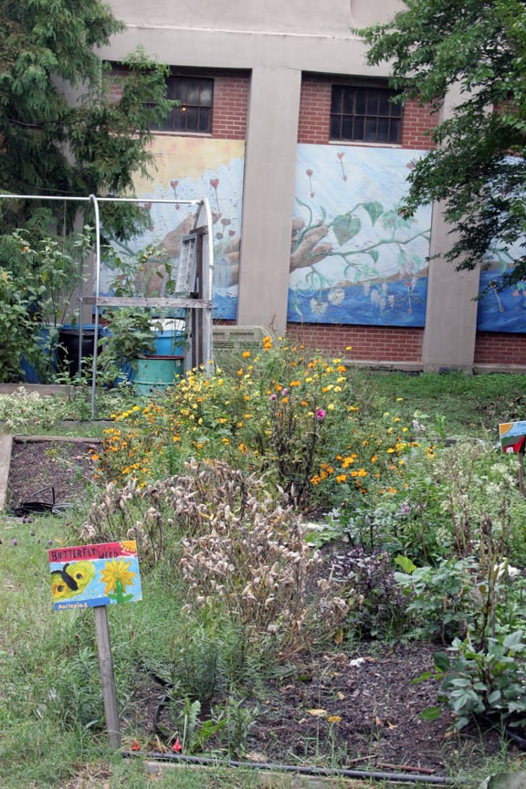 The butterfly garden displays plants that attract insects, and the mural depicts how gardening extends from our hands into the world.