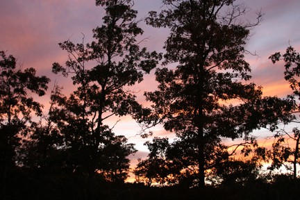 When I was outdoors it was the colors of the sunset that predominated, but in the photos, it is the black of the trees.