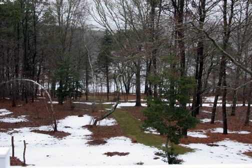 Some snow, some bare ground. Fifty degrees today, and fourteen predicted for Tuesday. 