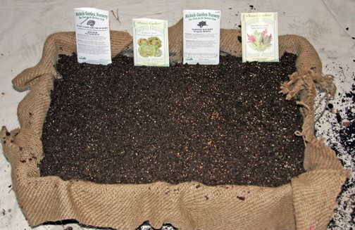 This is the crate of soil and seeds - we'll take it up to the shed tomorrow. I hope the burlap wasn't a mistake...