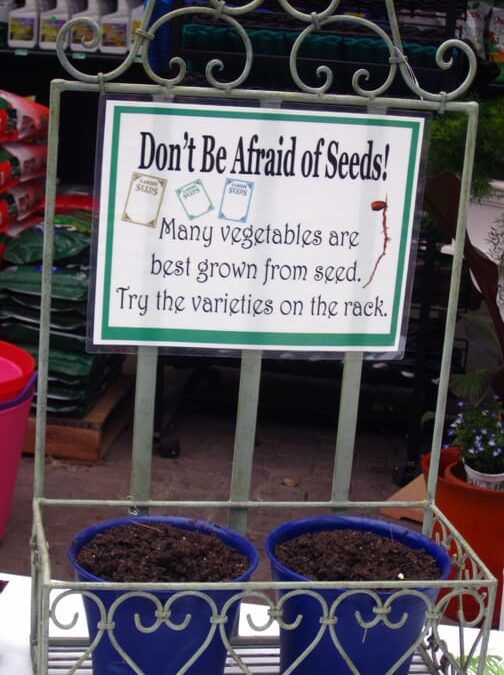 Fear of Seeds