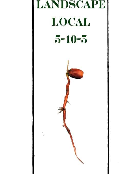 Landscape Local 5-10-5