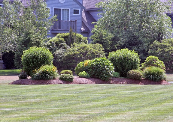 15 Things I Hate About Your Yard – #14